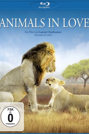 Animals in Love - Tierisch verliebt
