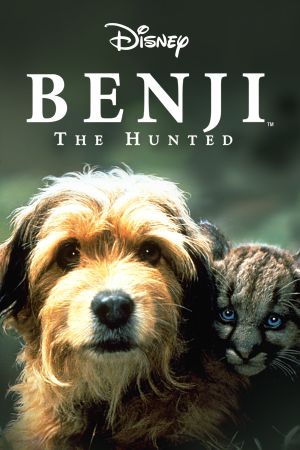 Benji, sein größtes Abenteuer serie stream